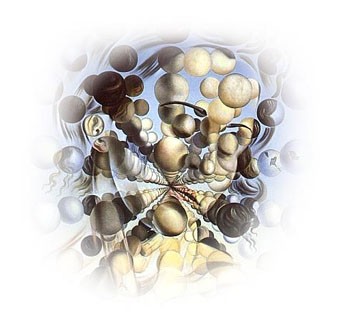 Salvador Dalí 
Galatea of the spheres